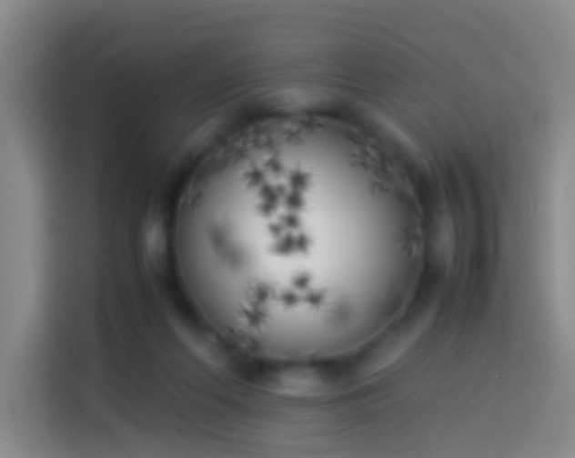X0000113890214200910011329