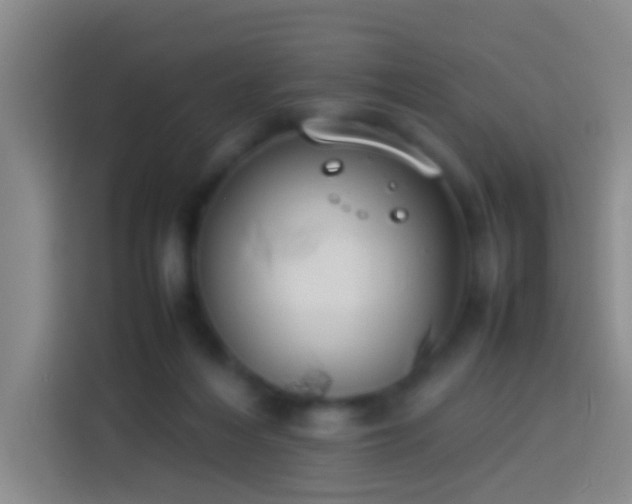 X0000113890216200910011329