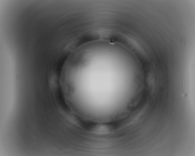 X0000113890218200910011329