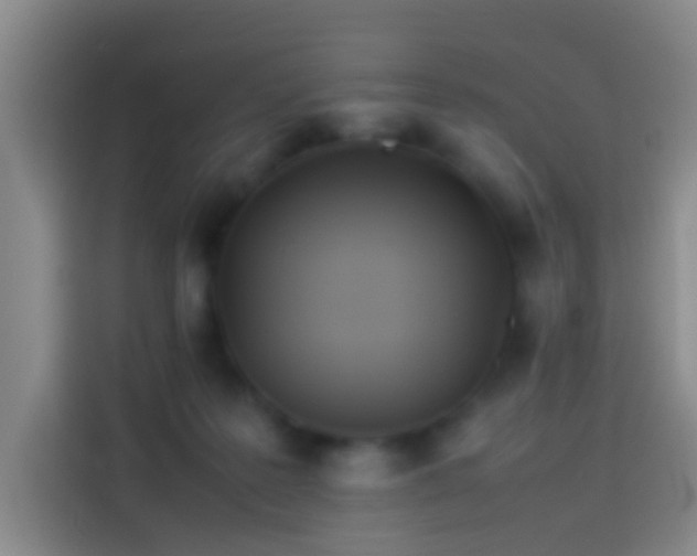 X0000113890219200910011329