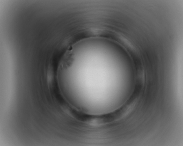 X0000113890220200910011329