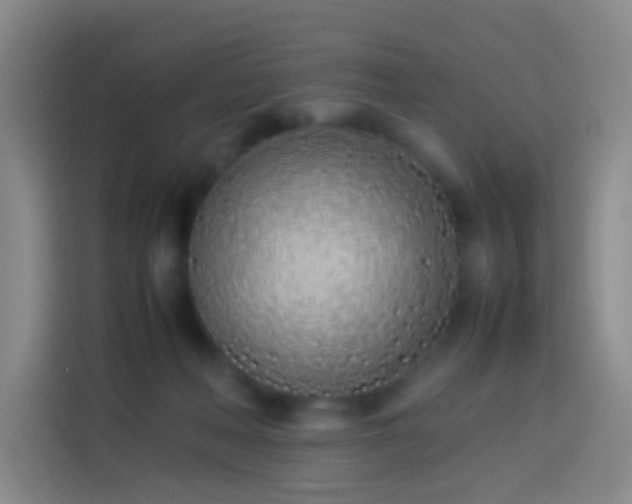 X0000113890222200910011329