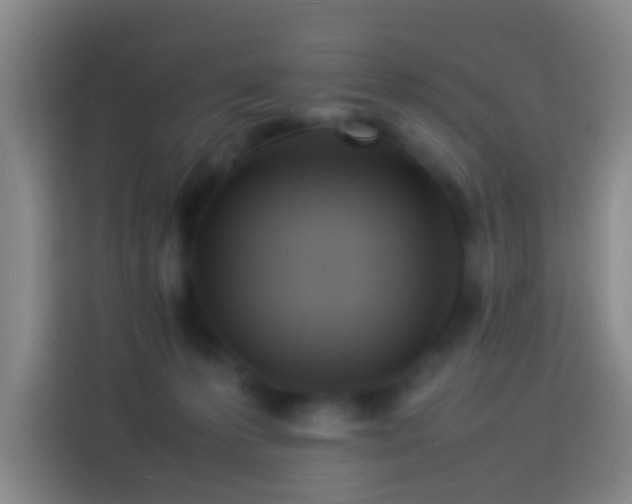 X0000113890223200910011329