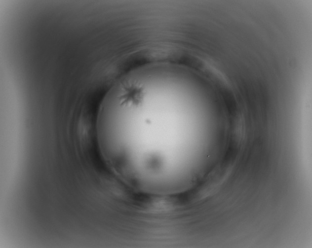 X0000113890226200910011329