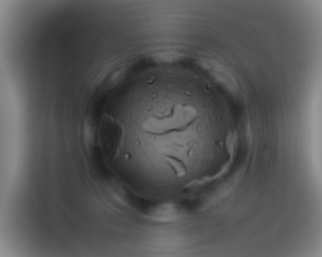 X0000113890227200910011329