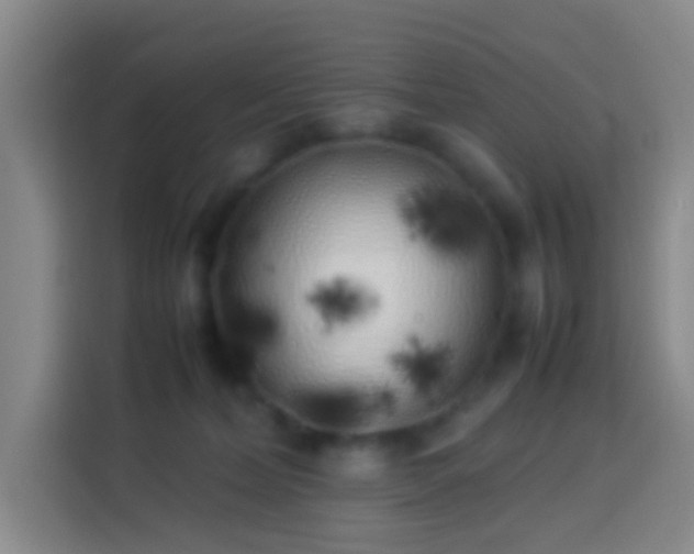 X0000113890228200910011329