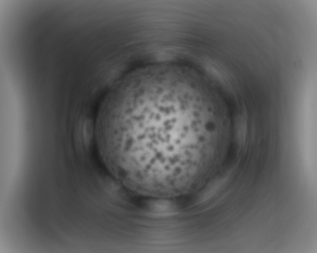 X0000113890230200910011329