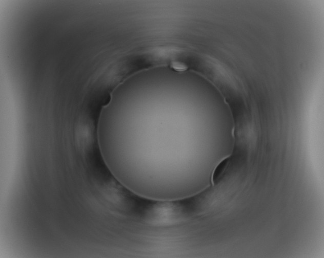 X0000113890231200910011329