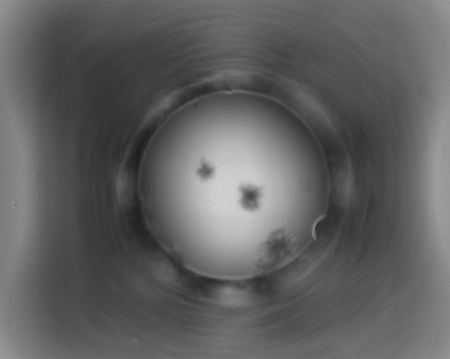 X0000113890232200910011329