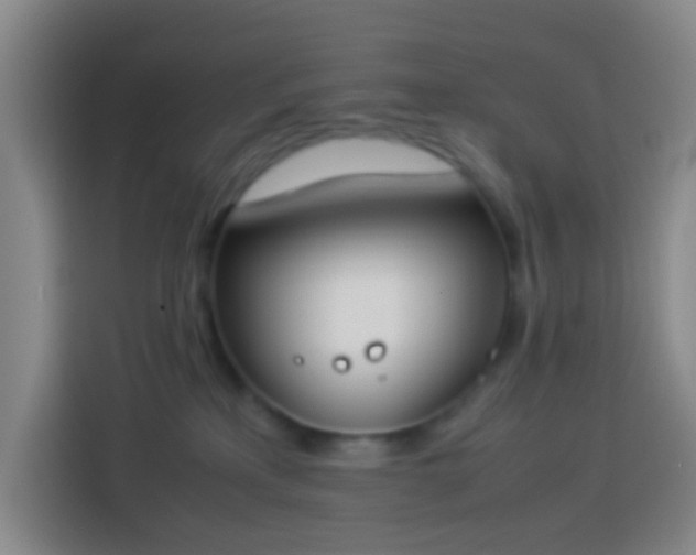 X0000113890233200910011329