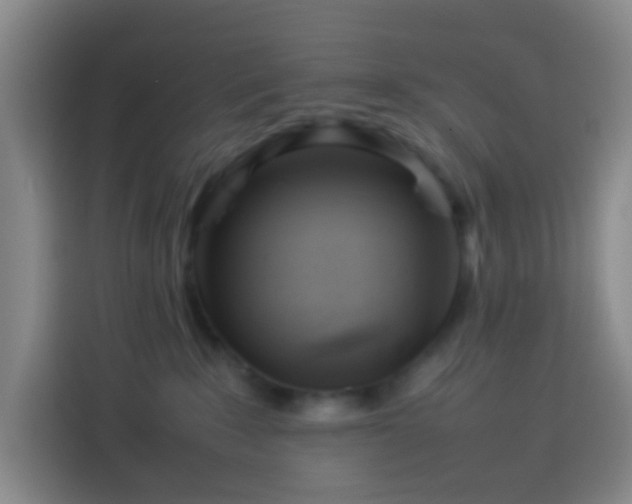 X0000113890235200910011329