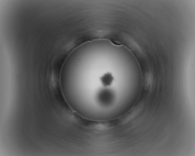 X0000113890236200910011329