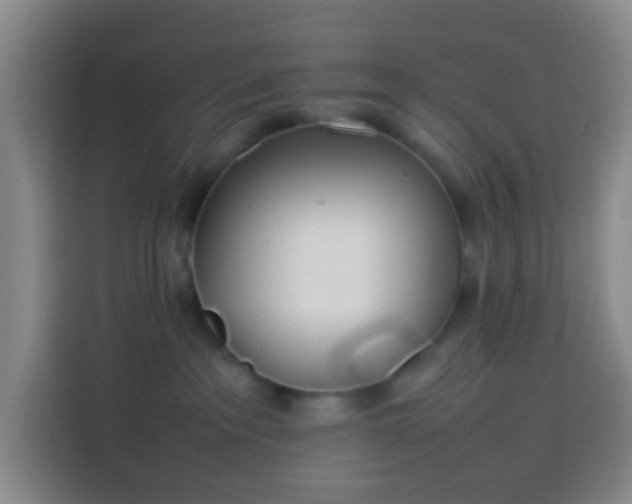 X0000113890237200910011329