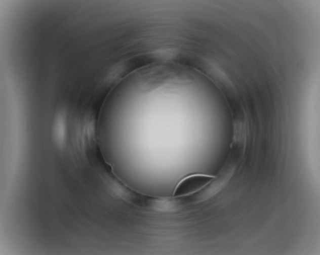 X0000113890238200910011329