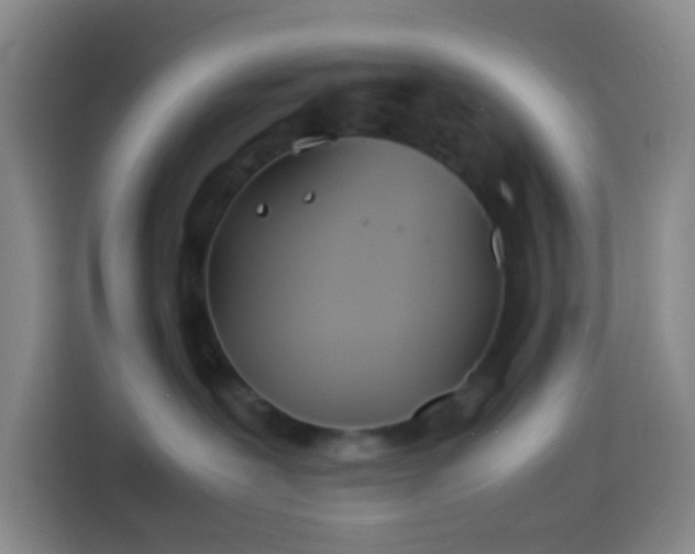 X0000113890239200910011329