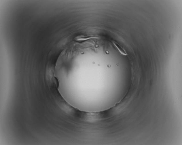 X0000113890240200910011329