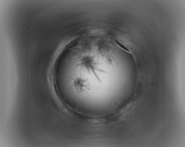 X0000113890241200910011328