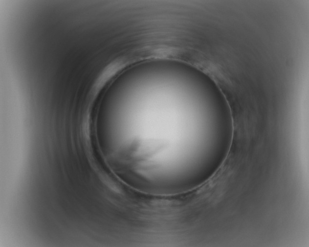 X0000113890242200910011328