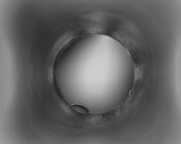 X0000113890243200910011328