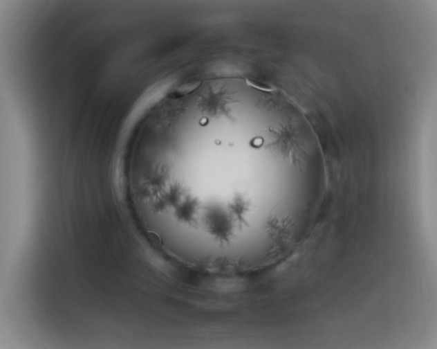 X0000113890245200910011328