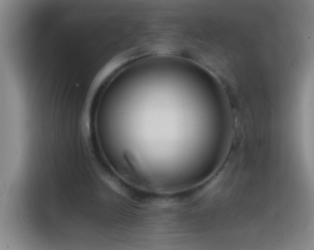 X0000113890246200910011328