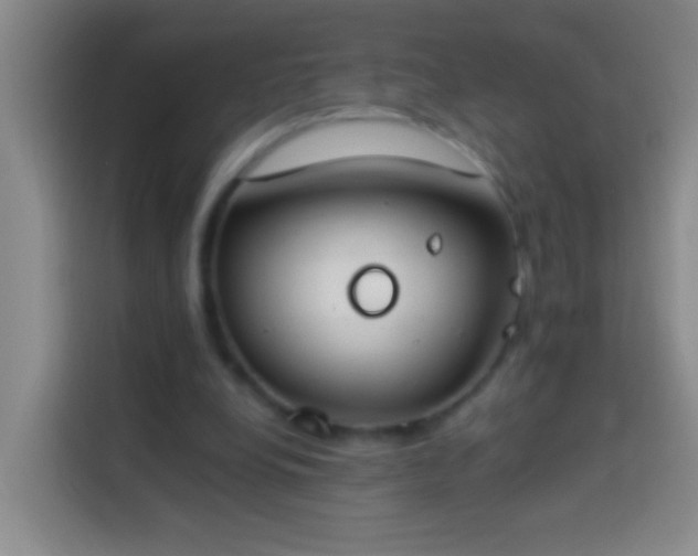 X0000113890248200910011328