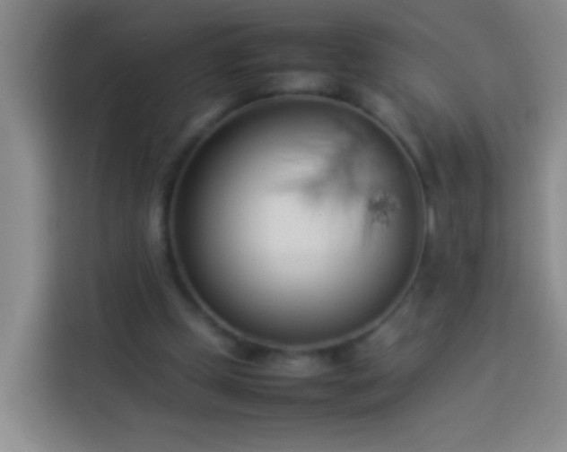 X0000113890249200910011328