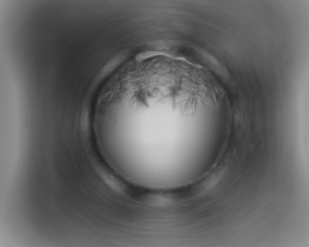 X0000113890250200910011328