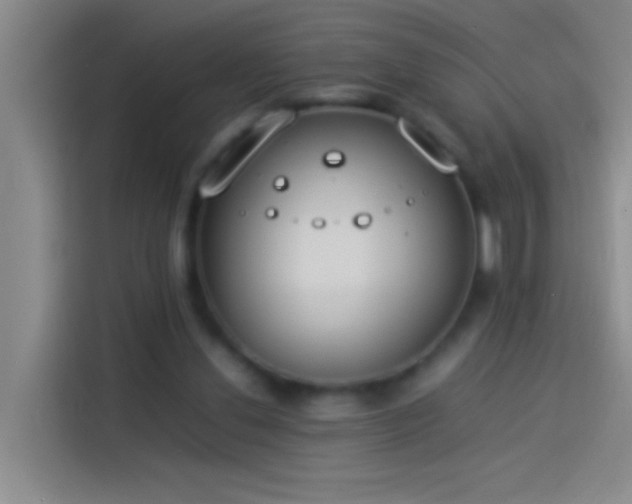 X0000113890252200910011328