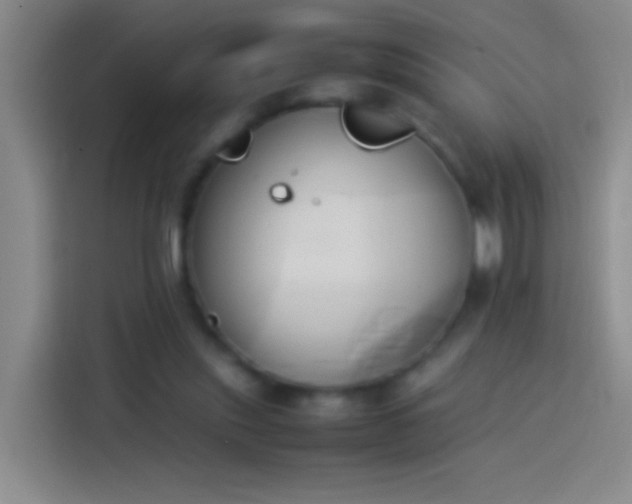 X0000113890253200910011328