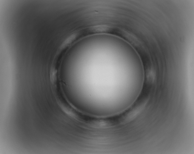 X0000113890254200910011328