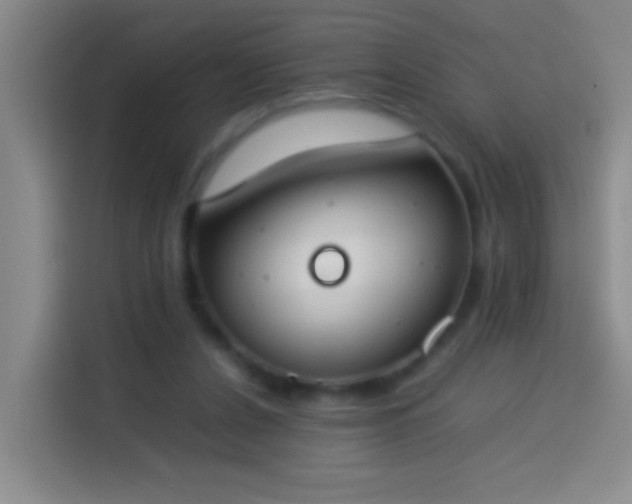 X0000113890256200910011328