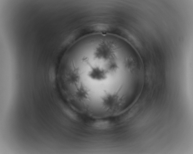 X0000113890257200910011328