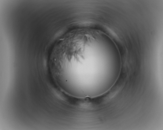X0000113890258200910011328