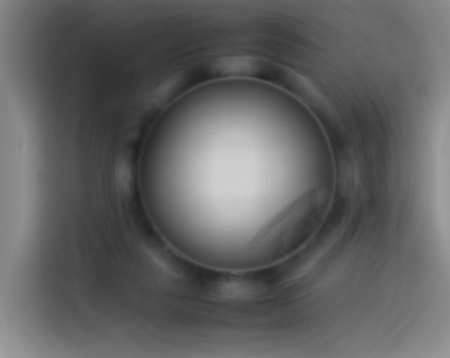 X0000113890259200910011328