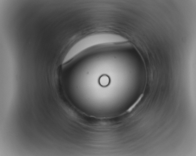 X0000113890260200910011328