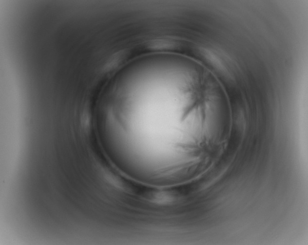 X0000113890261200910011328