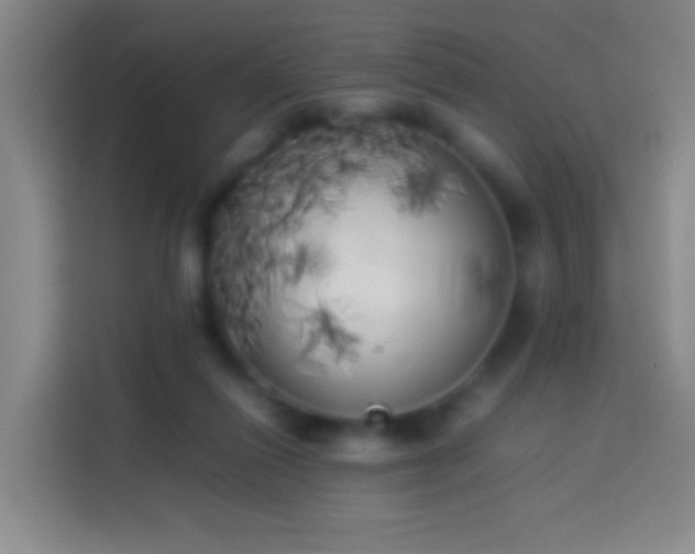 X0000113890262200910011328