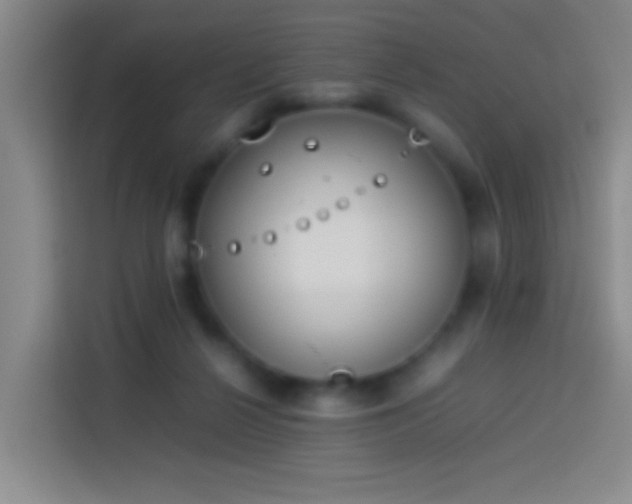 X0000113890264200910011328