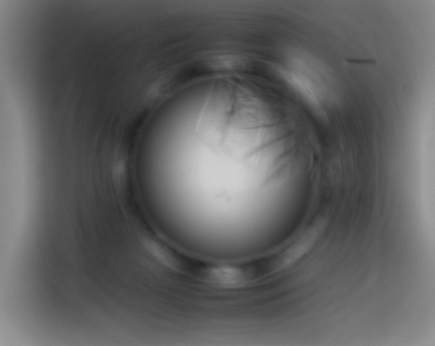 X0000113890265200910011328