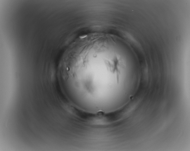X0000113890266200910011328