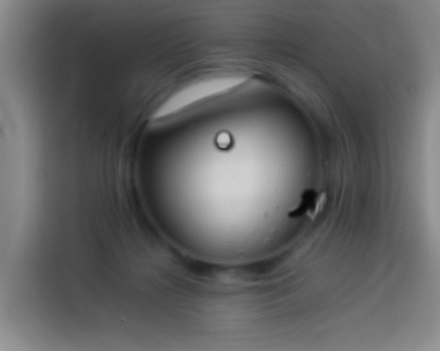 X0000113890268200910011328