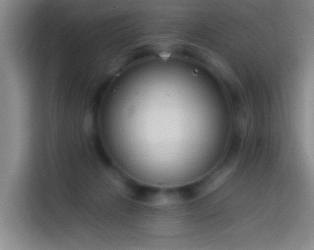 X0000113890270200910011328