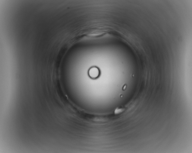 X0000113890272200910011328