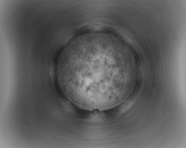 X0000113890274200910011328