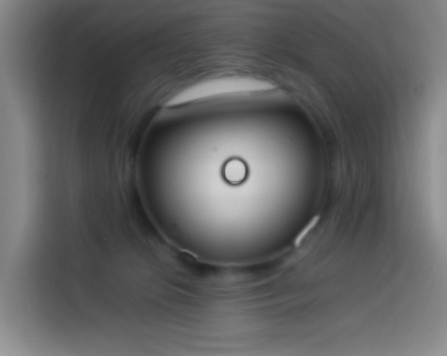 X0000113890276200910011328