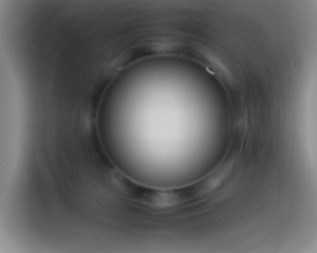 X0000113890277200910011328