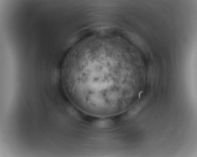 X0000113890278200910011328