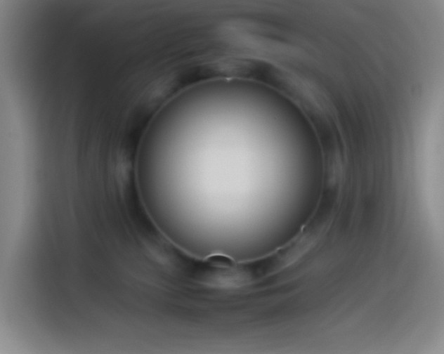 X0000113890279200910011329