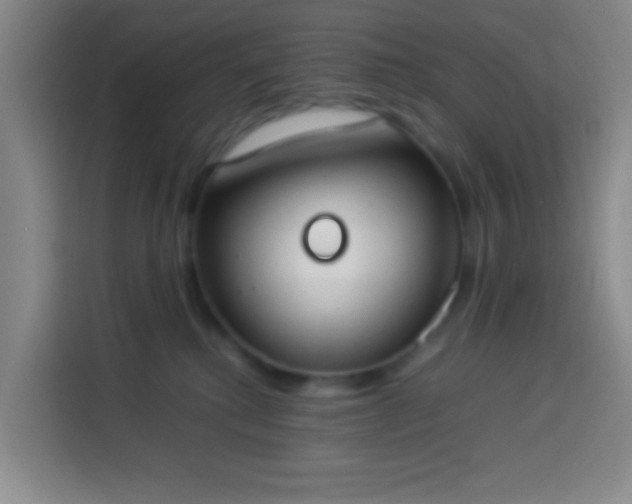 X0000113890280200910011329